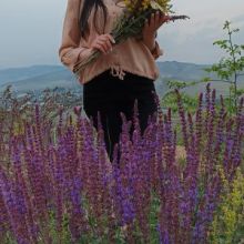 Anush Hovsepyan
