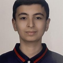 Roman Hovsepyan