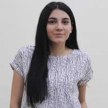 Ani A. Hovakimian